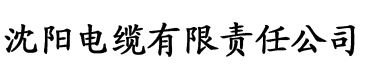 免费AV片在线观看电缆厂logo